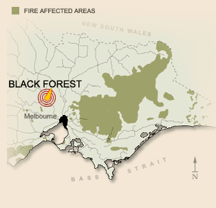 Areas affected by fire in the Black Friday bushfires