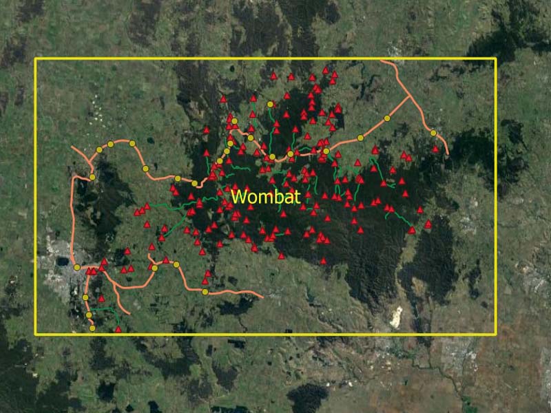 wombatindex.jpg